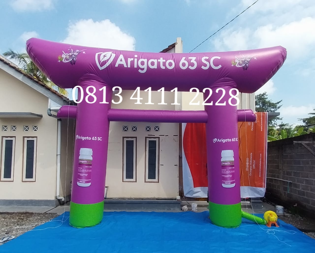sifabalon sifabalon
